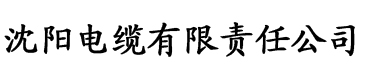 穿越之香满清宫电缆厂logo